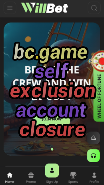 BC.Game Self Exclusion & Account Closure-vz72fvrf.com