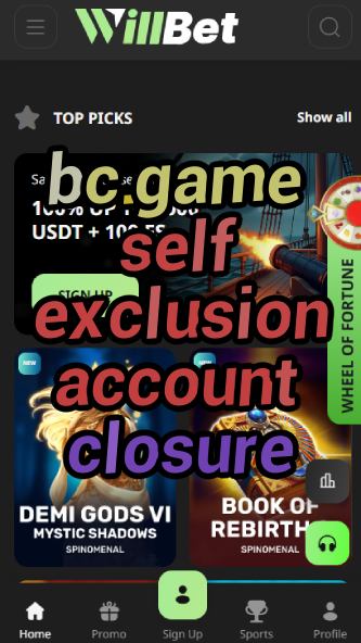BC.Game Self Exclusion & Account Closure-vz72fvrf.com
